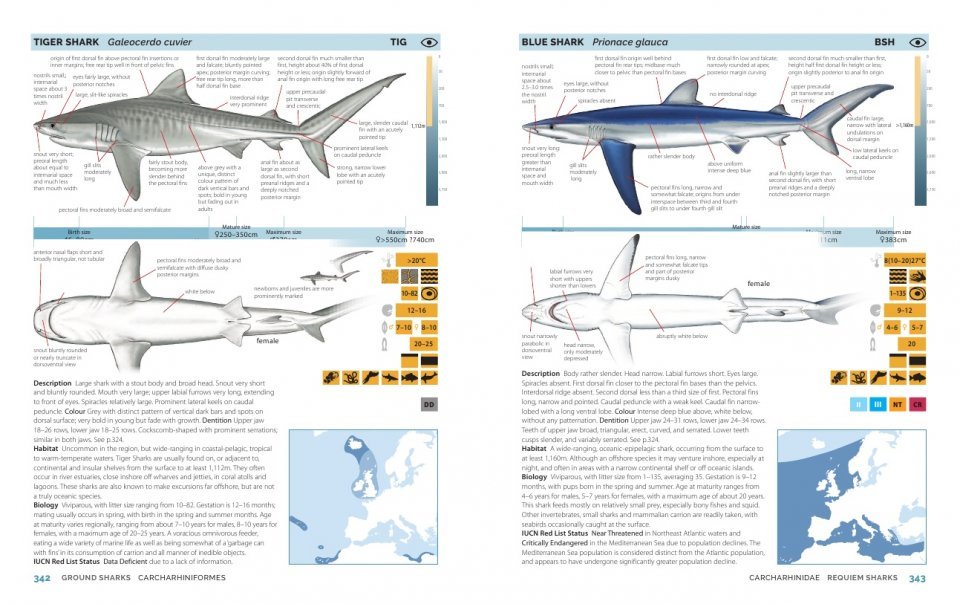 field guide to sharks, rays and chimaeras of europe and the mediterranean
