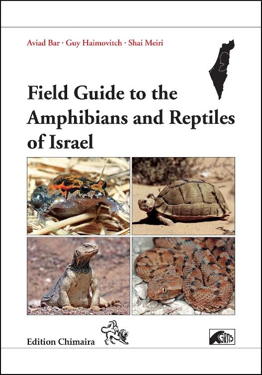 field guide to the amphibians and reptiles of israel