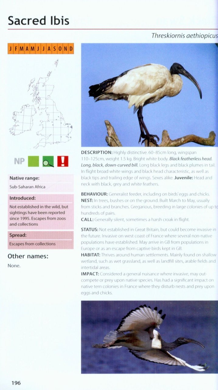 field guide to the invasive plants and animals in britain