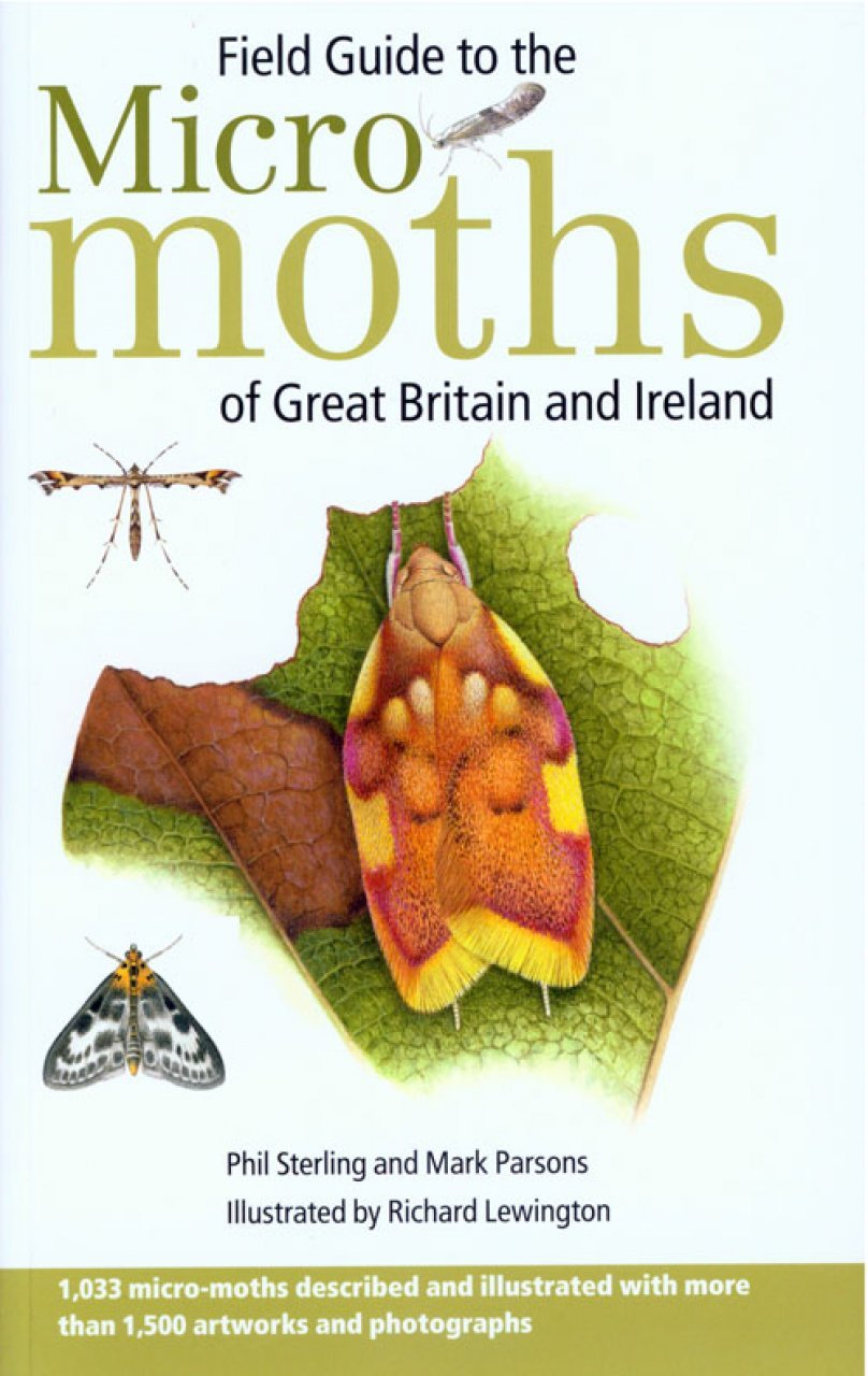 field guide to the micro-moths of great britain and ireland
