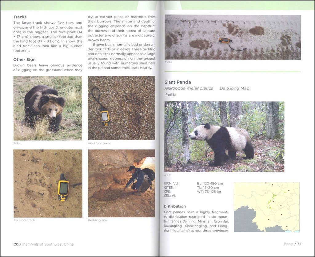 field guide to the wildlife of southwest china