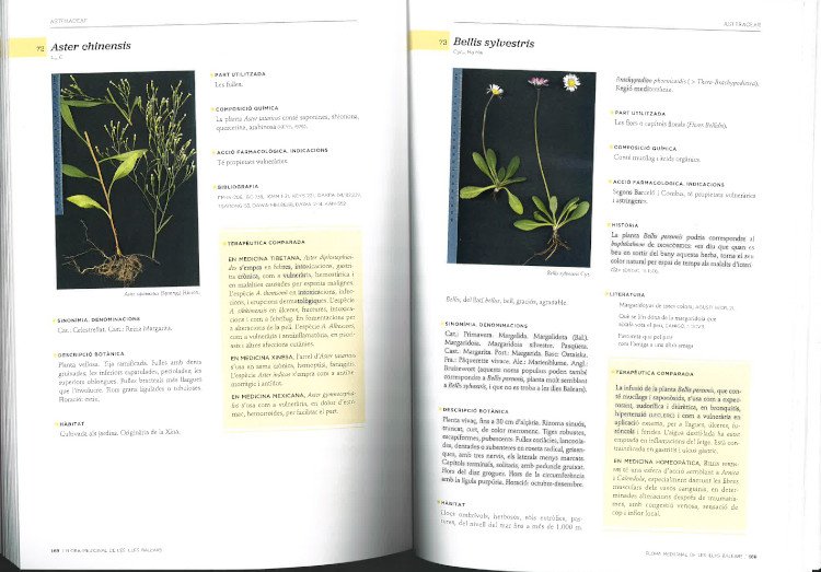 flora medicinal de les illes balears