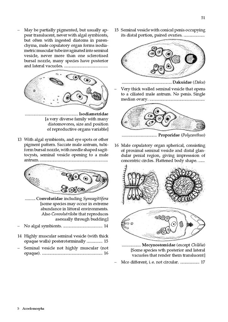 guide to the identification of marine meiofauna