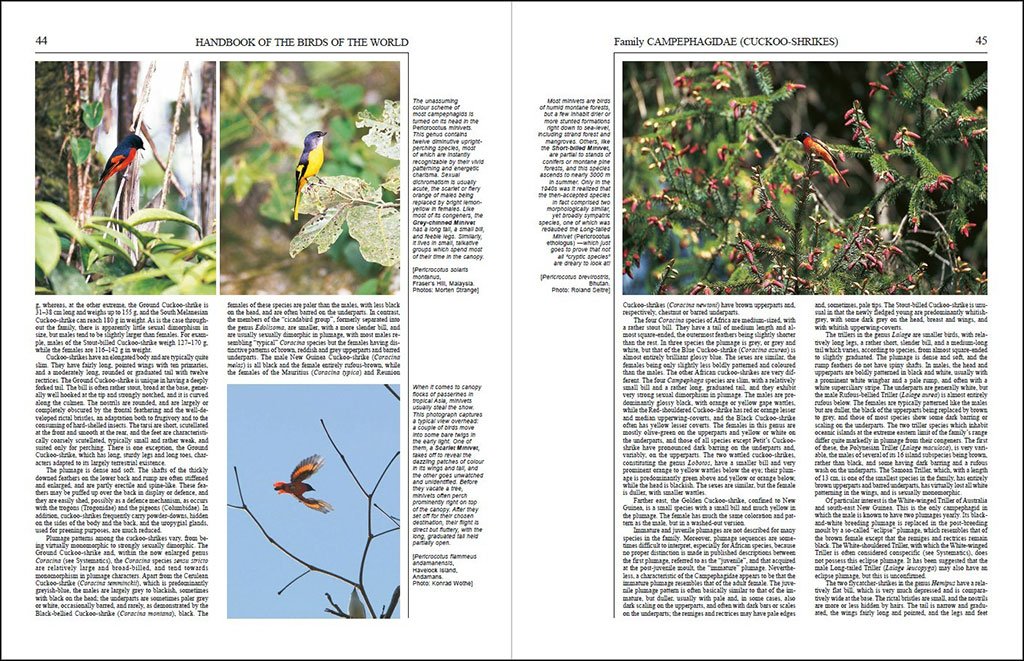 handbook of the birds of the world, vol. 10. cuckoo-shrikes to thrushes