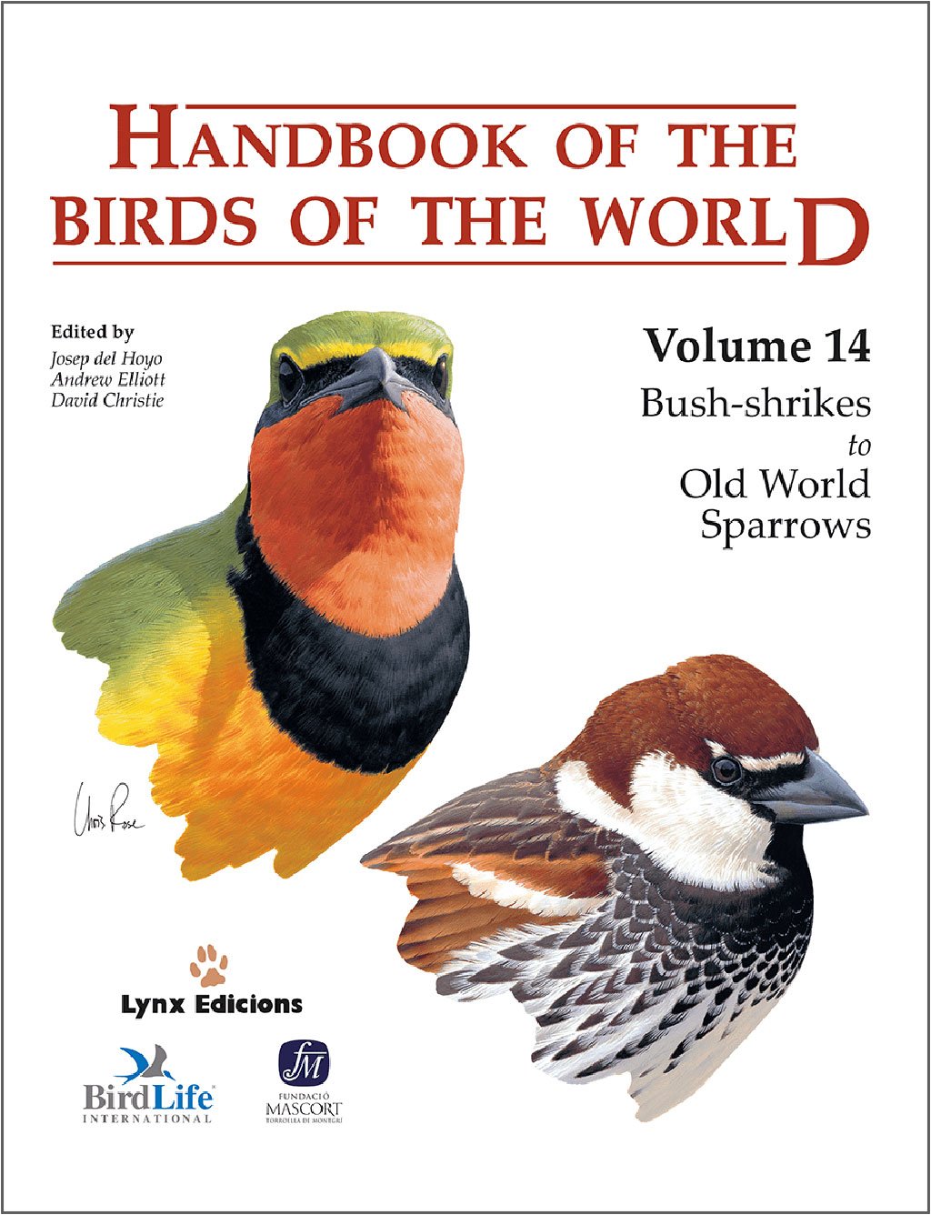 handbook of the birds of the world, vol. 14. bush-shrikes to old world sparrows