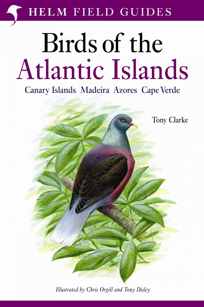 helm field guides. birds of the atlantic islands. canary islands, madeira, azores, cape verde