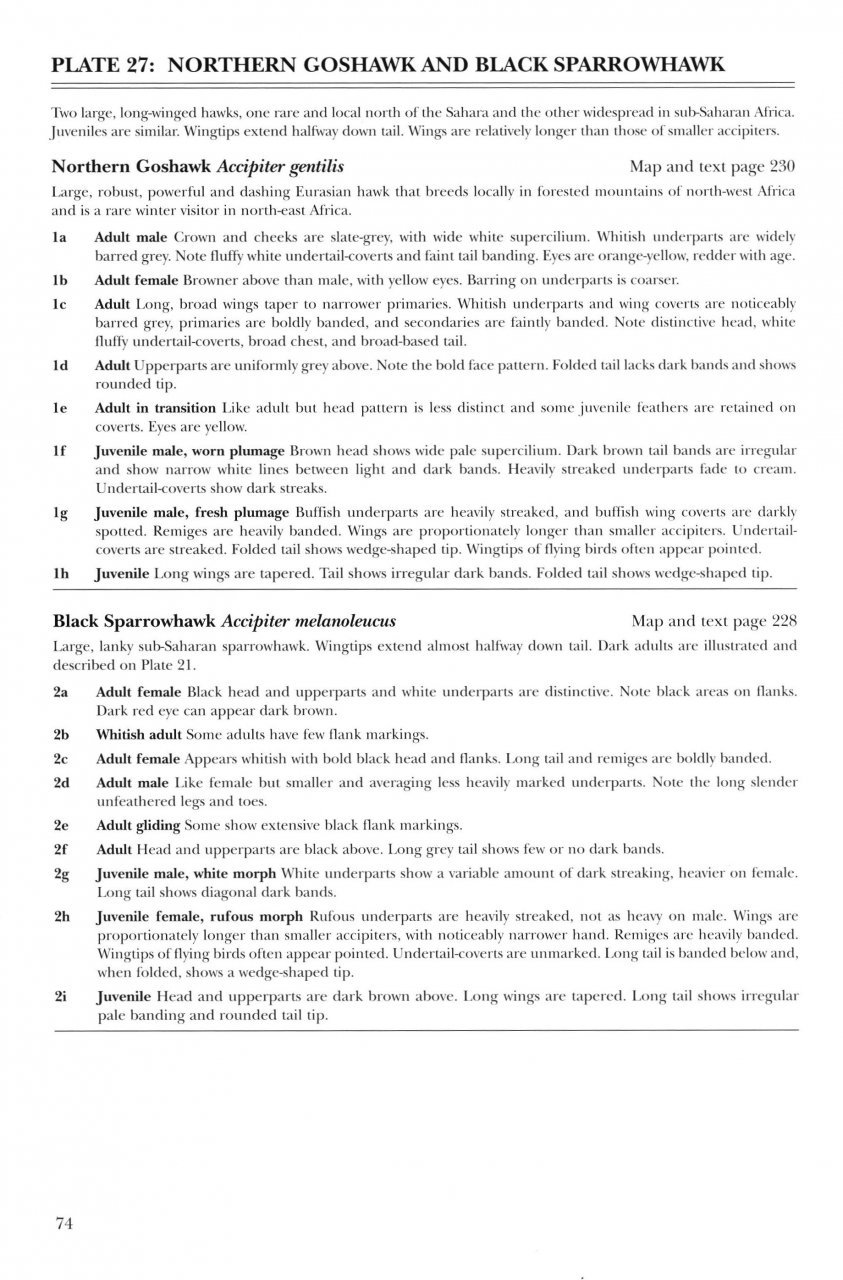 helm identification guides. african raptors