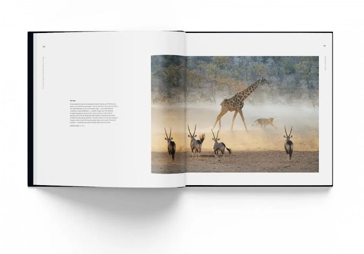 how wildlife photography became art. 55 years of wildlife photographer of the year