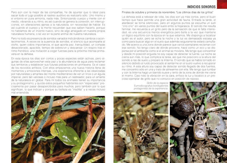 huellas y rastros de una dehesa
