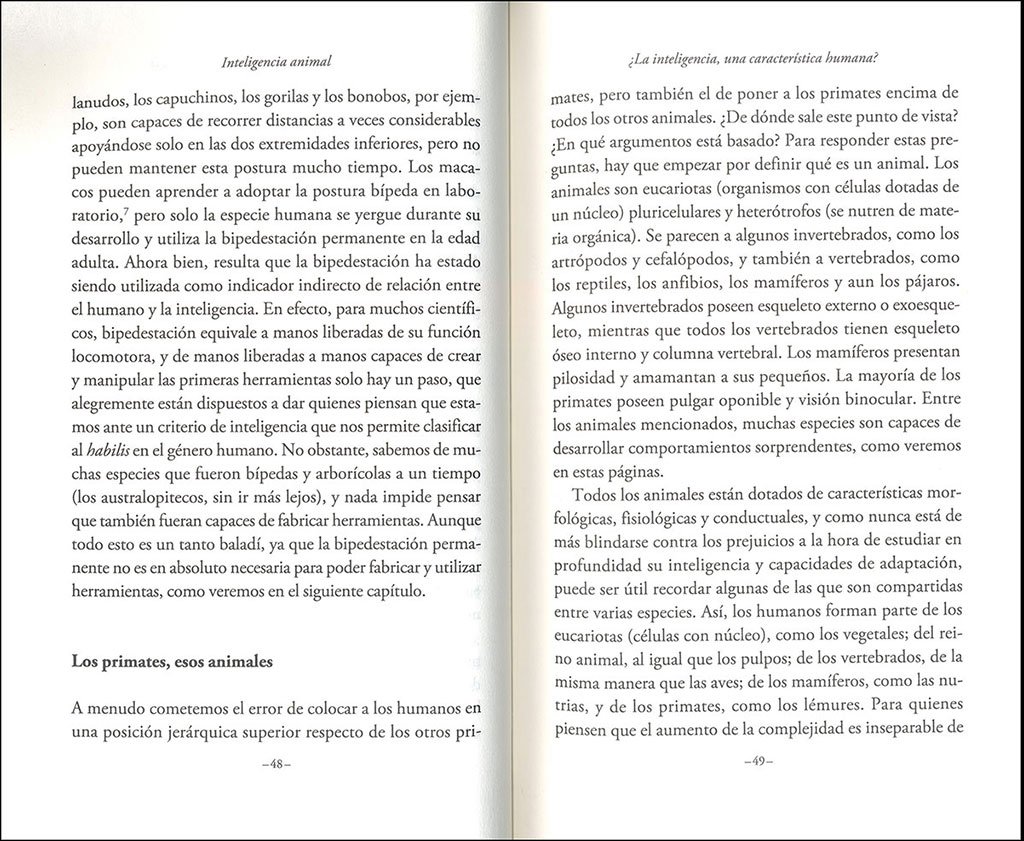 inteligencia animal. cabeza de chorlitos y memoria de elefantes