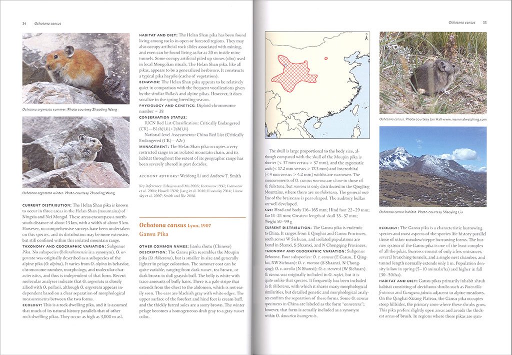 lagomorphs: pikas, rabbits, and hares of the world