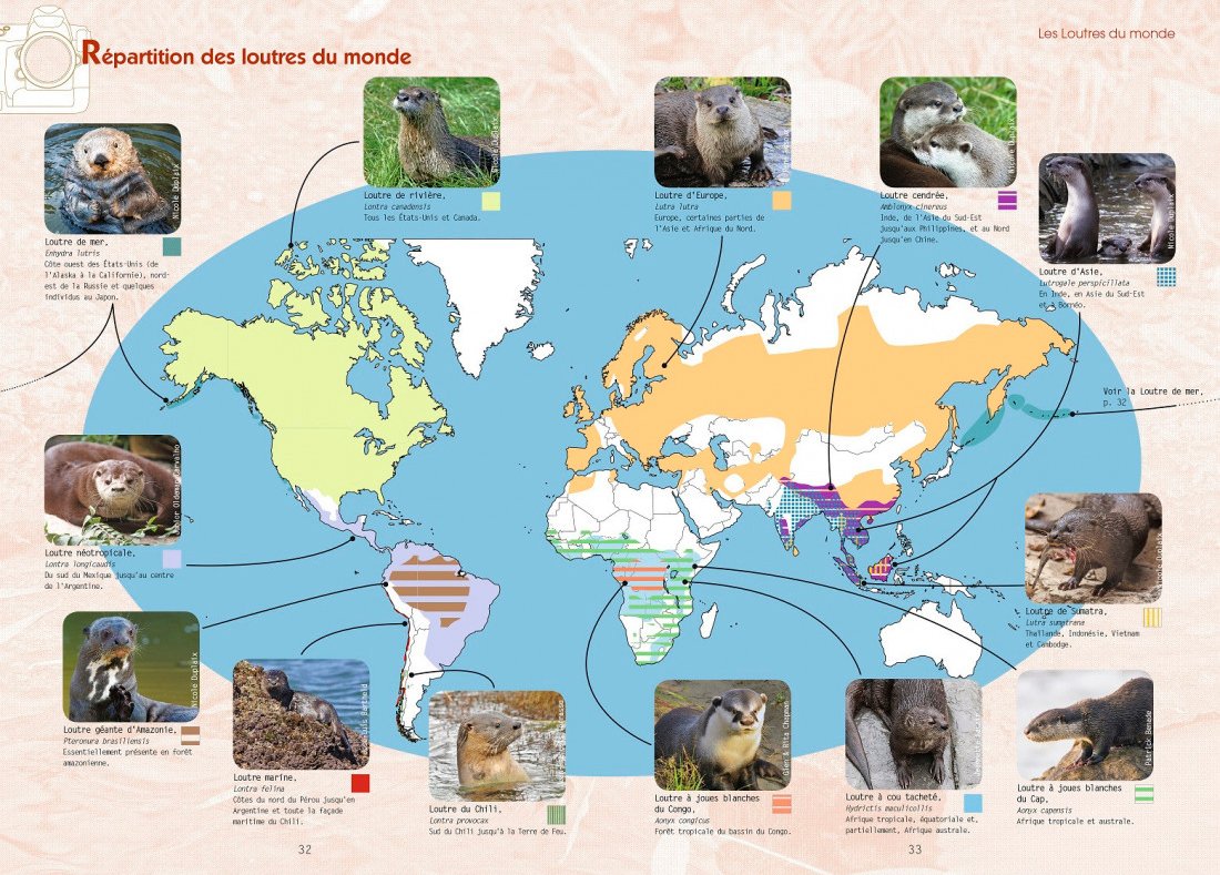 la loutre d'europe