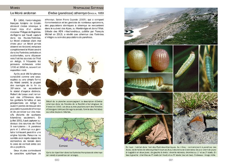 la vie des papillons. ecologie, biologie et comportement des rhopaloceres de france