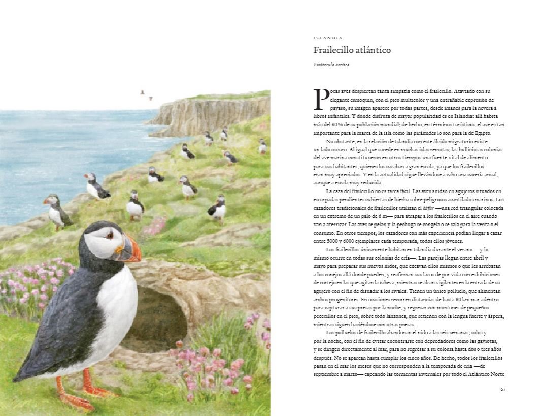 la vuelta al mundo en 80 aves