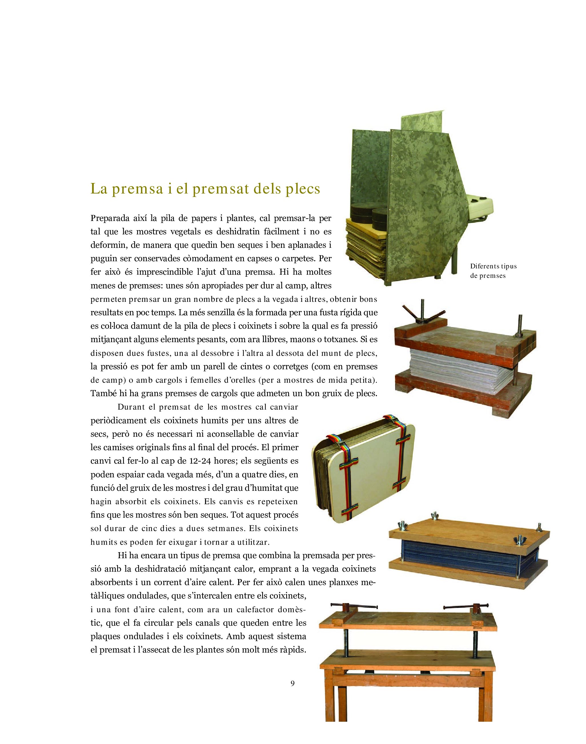 l'herbari, mates, herbes i falgueres