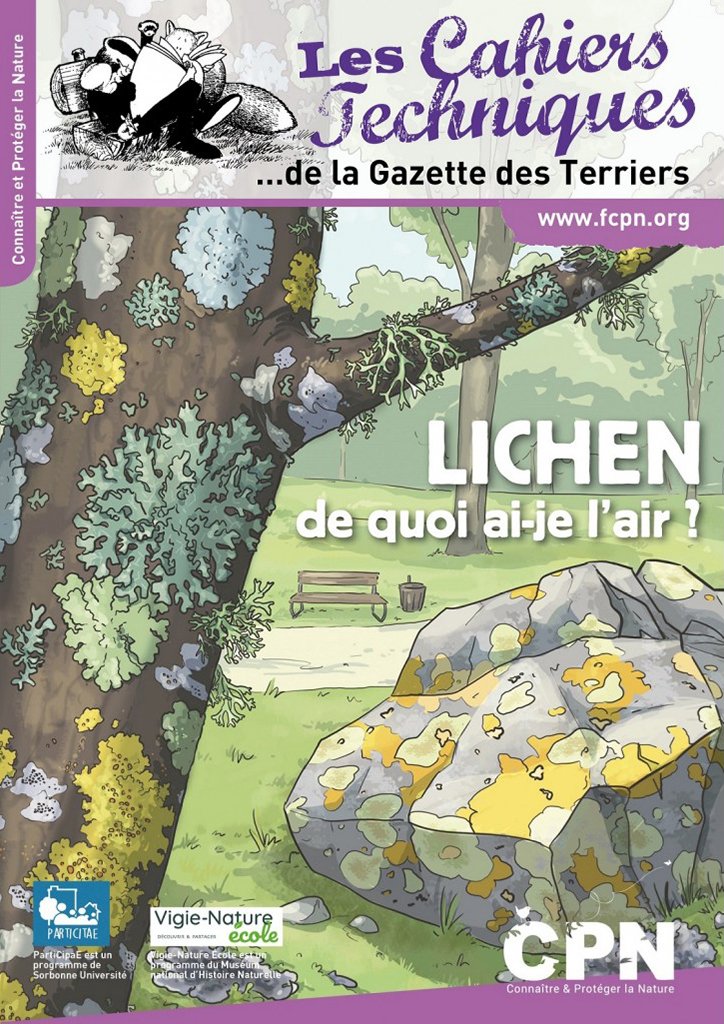 lichen. de quoi ai-je l'air?