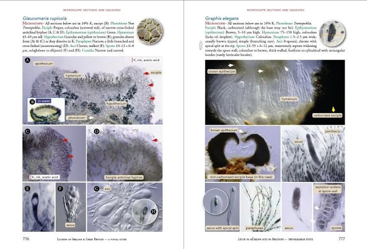 lichens of ireland & great britain: a visual guide to their identification (2 volume set)