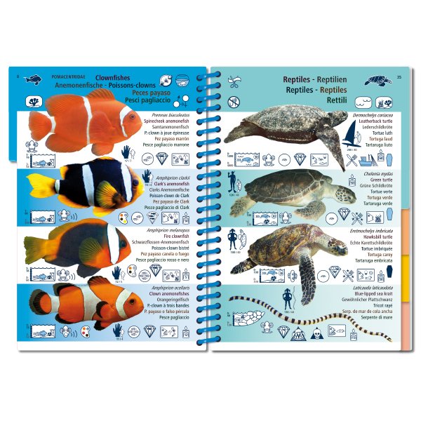 marine pictolife. asian pacific