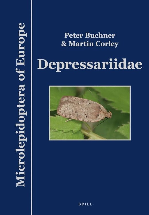 microlepidoptera of europe, volume 10 depressariidae