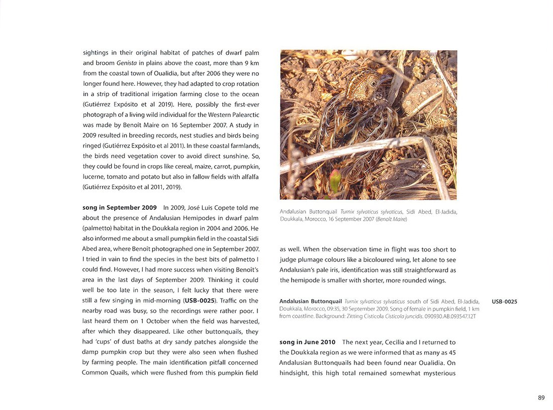 morocco: sharing the birds. a sound approach guide to birds of the maghreb
