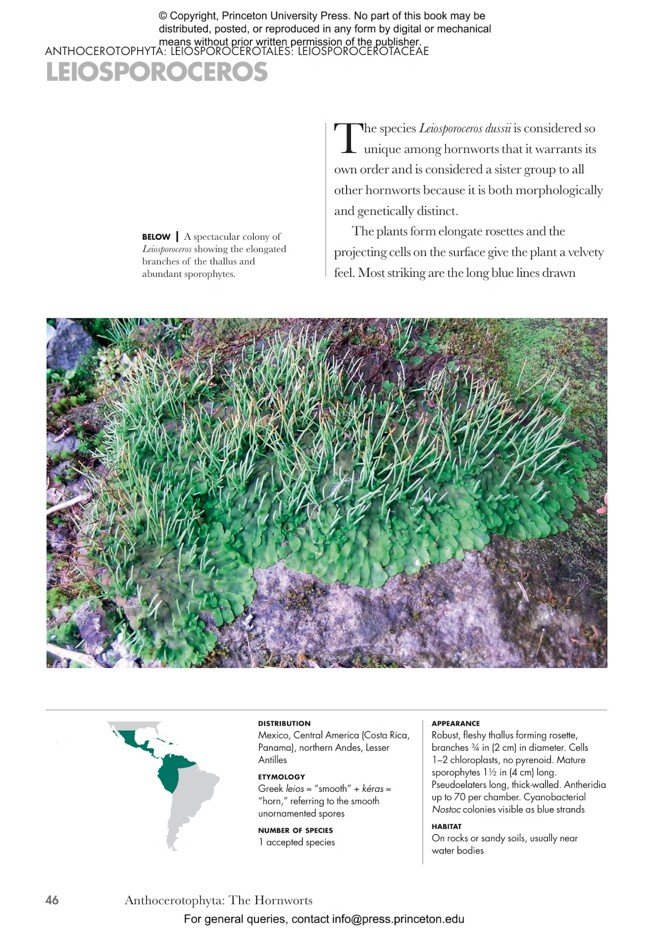 mosses, liverworts, and hornworts of the world. a guide to every order
