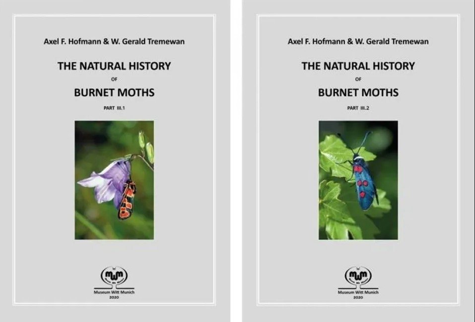 natural history of burnet moths (zygaena fabricius, 1775) (lepidoptera: zygaenidae) part 3 (2-volume set)