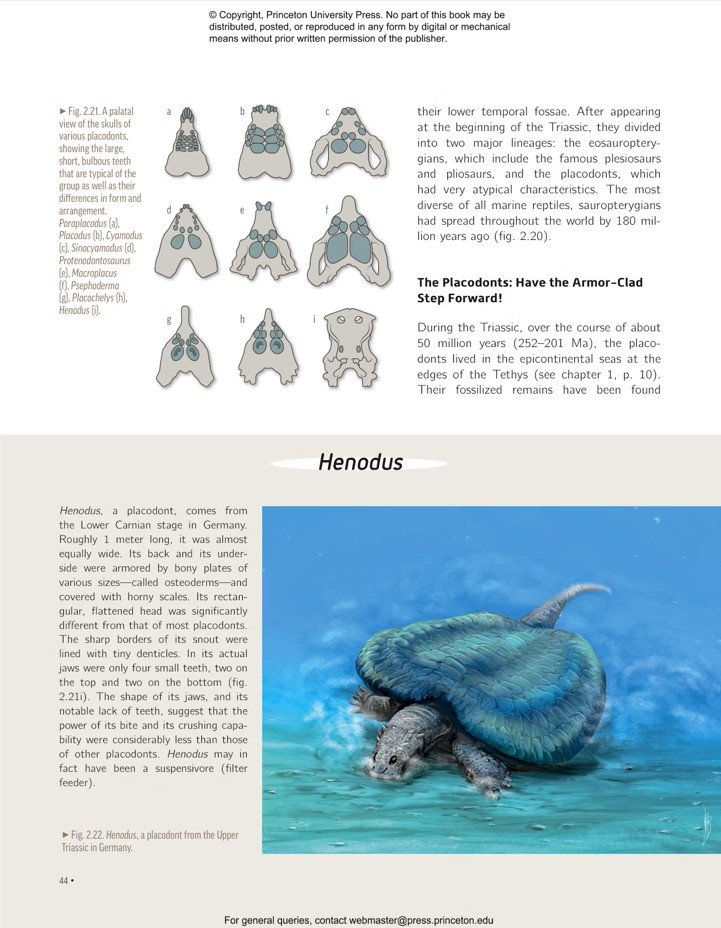 ocean life in the time of the dinosaurs