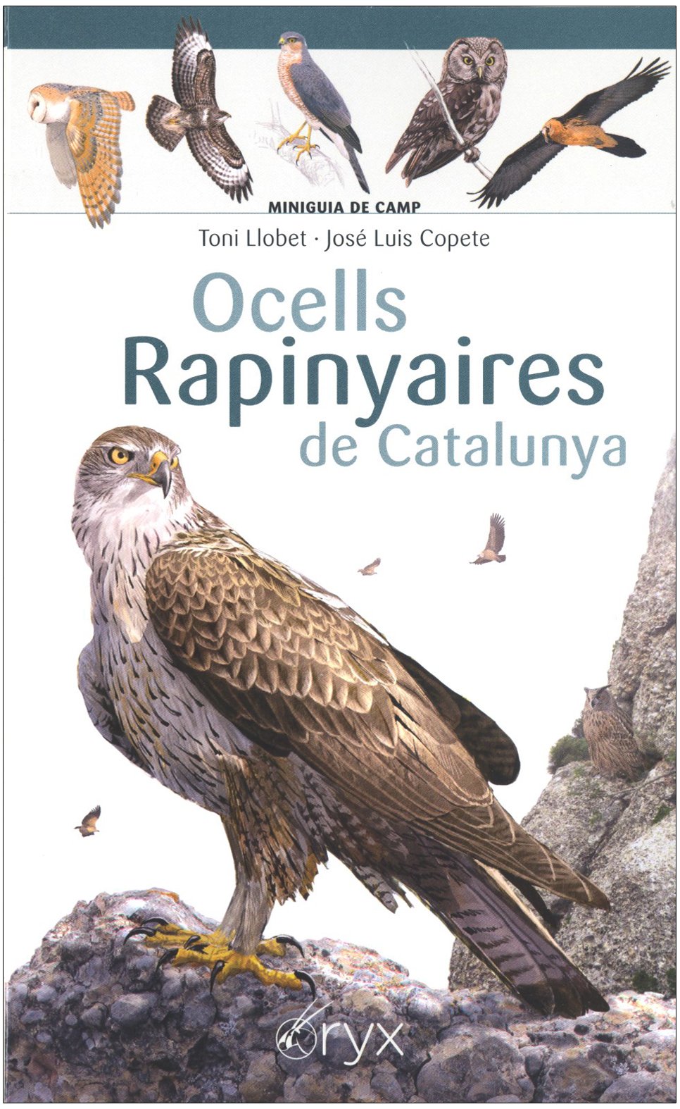 ocells rapinyaires de catalunya. miniguia de camp