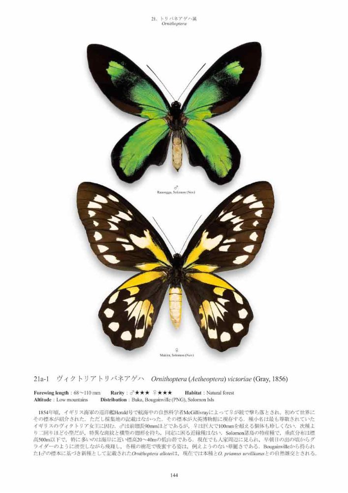 papilionidae of the world