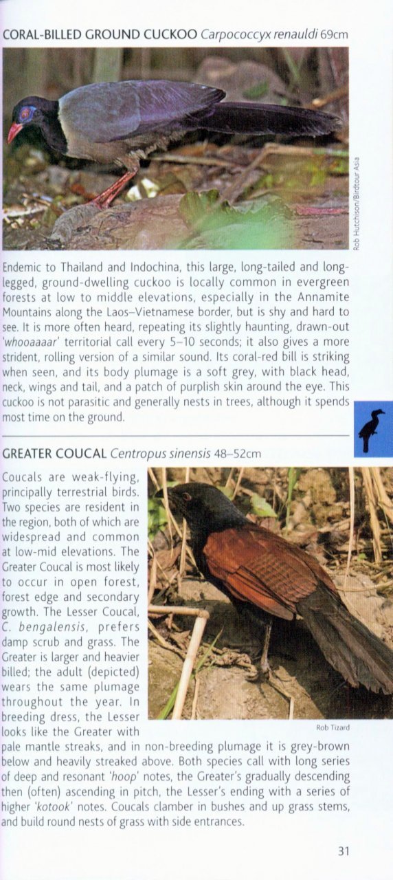 pocket photo guide to the birds of vietnam, cambodia and laos