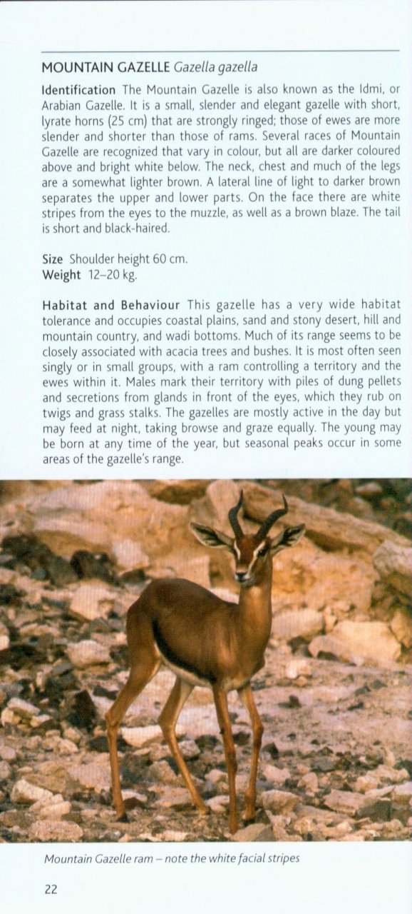 pocket photo guide to the mammals of north africa and the middle east