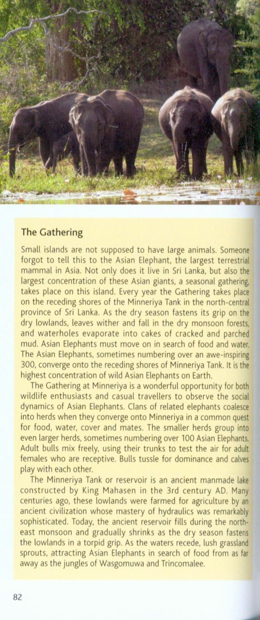 pocket photo guide to the mammals of sri lanka