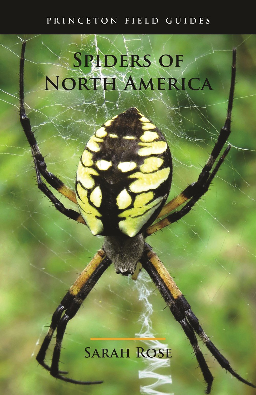 princeton field guide spiders of north america