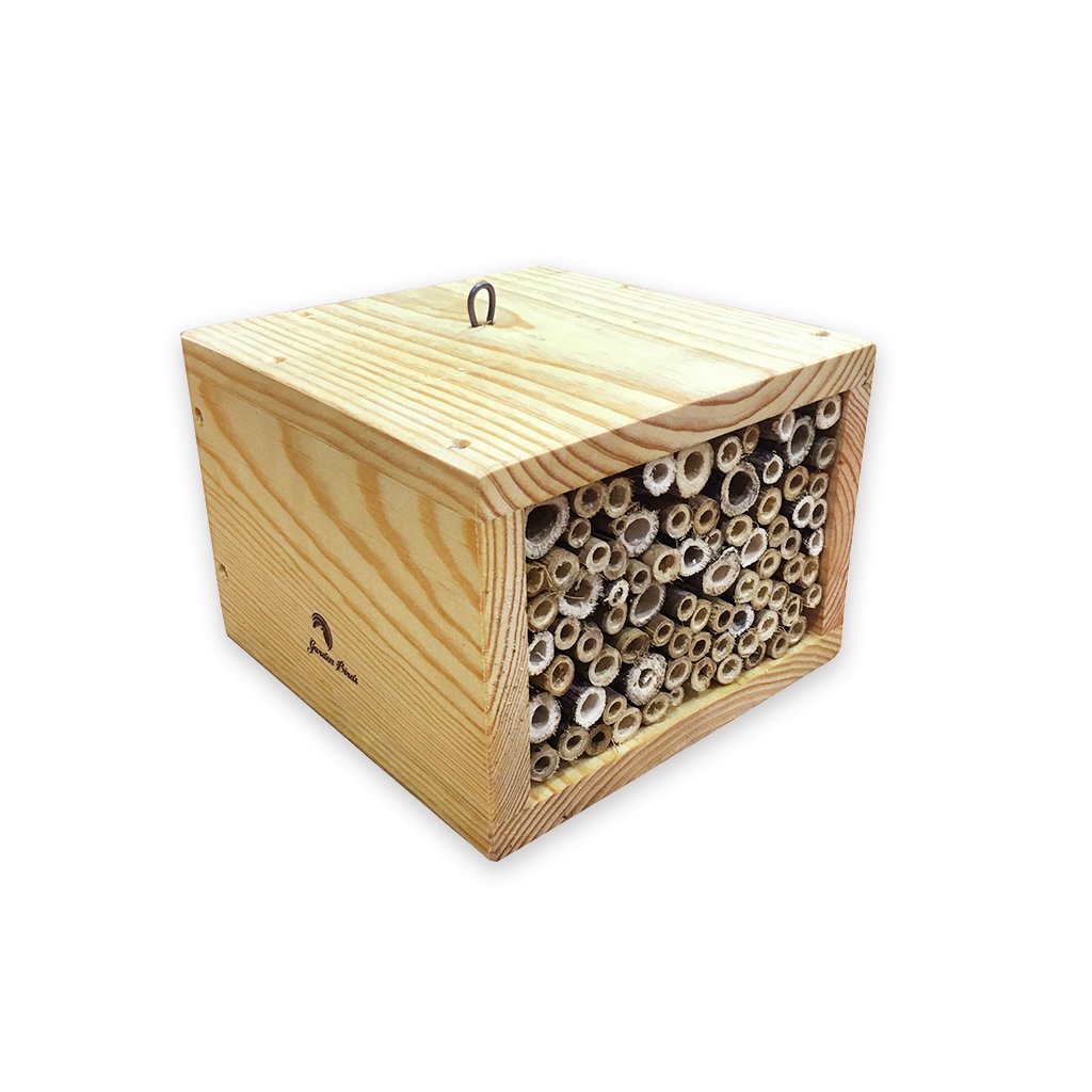 refugio para insectos modelo cubo