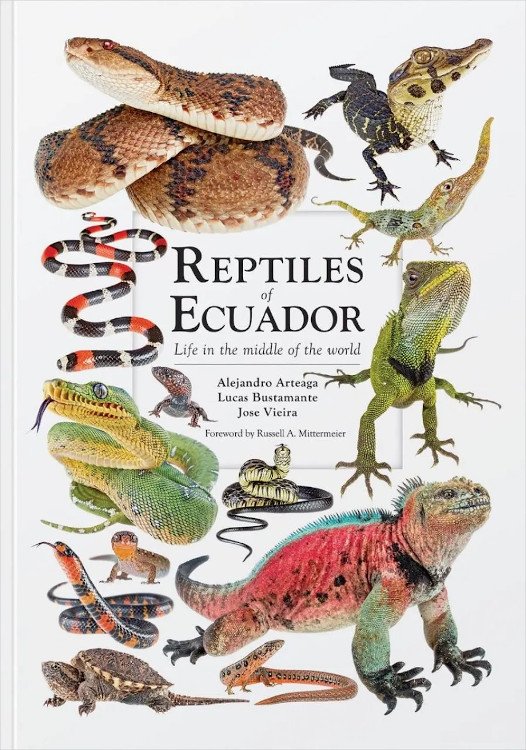 reptiles of ecuador. life in the middle of the world