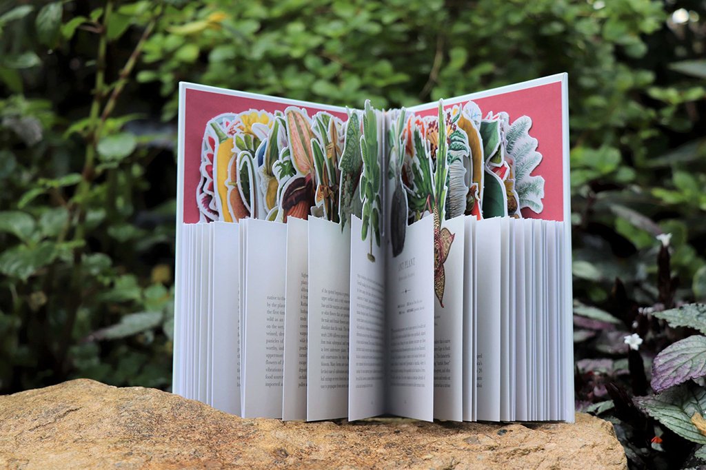 royal botanic gardens kew - the tropical hothouse: the book that turns into a botanical paradise