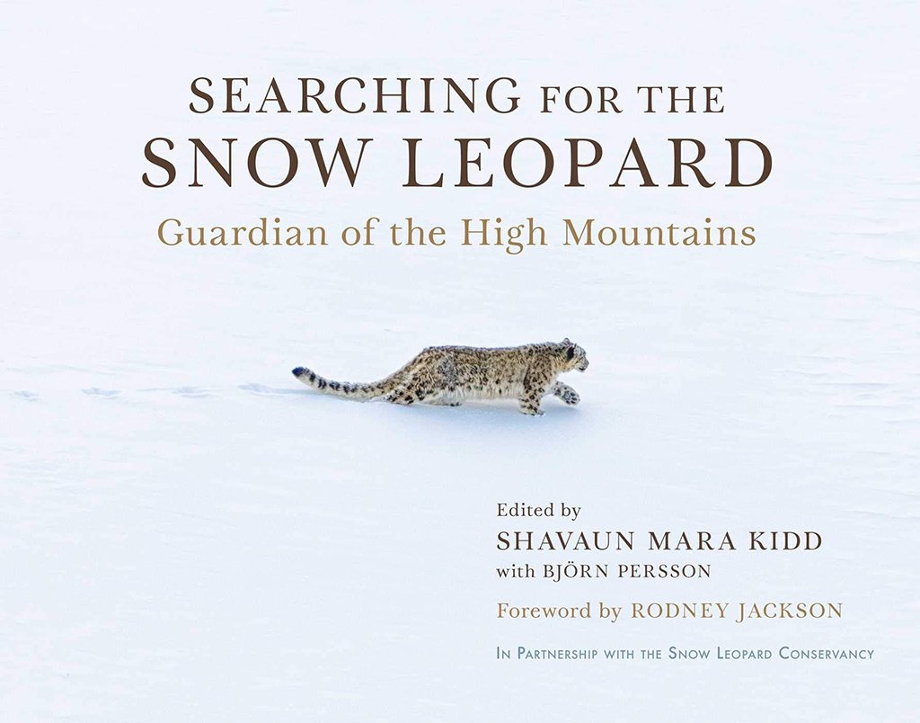 searching for the snow leopard. guardian of the high mountains