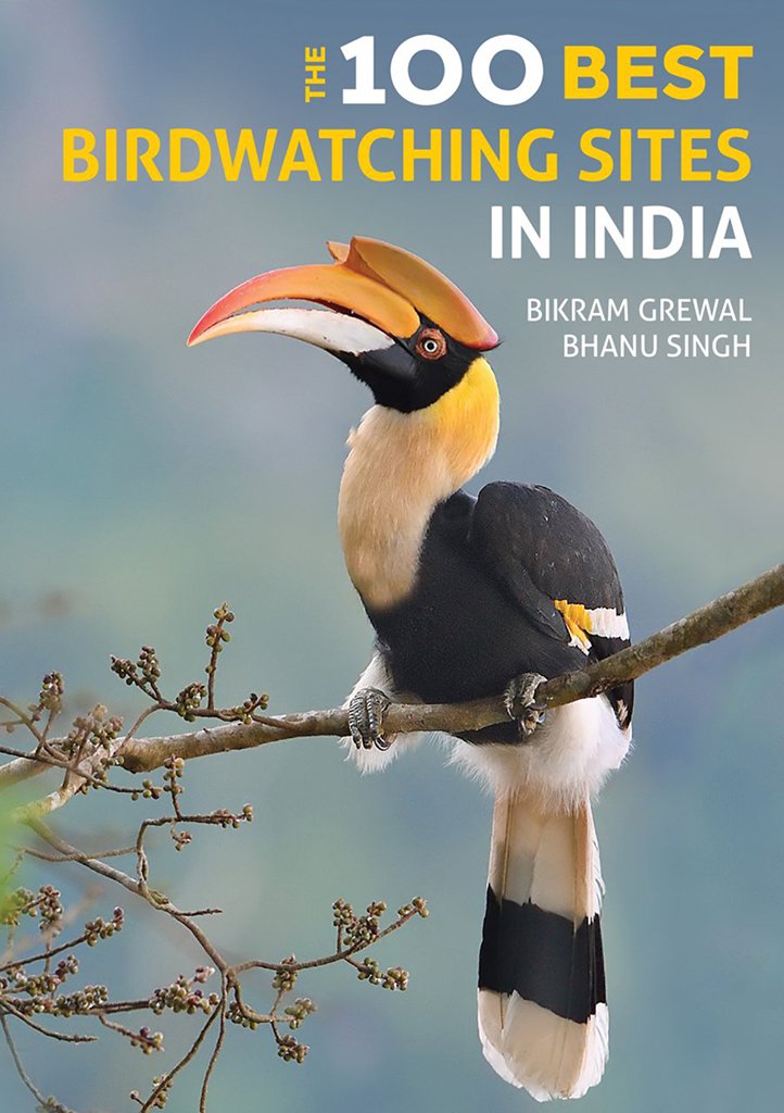 the 100 best birdwatching sites in india