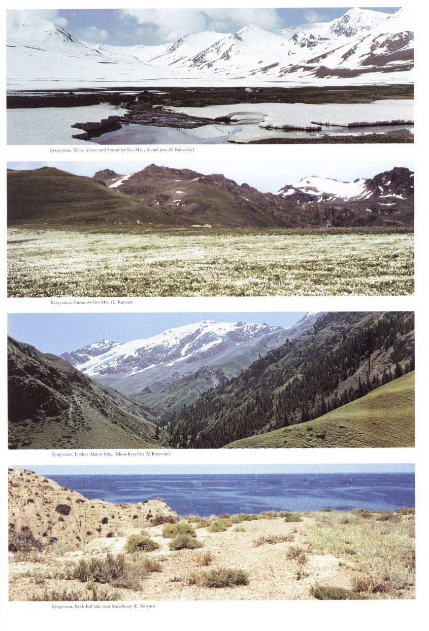 the butterflies of kyrgyzstan
