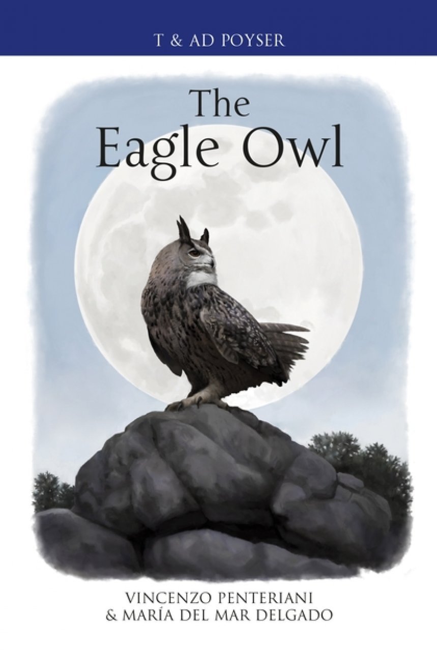 the eagle owl