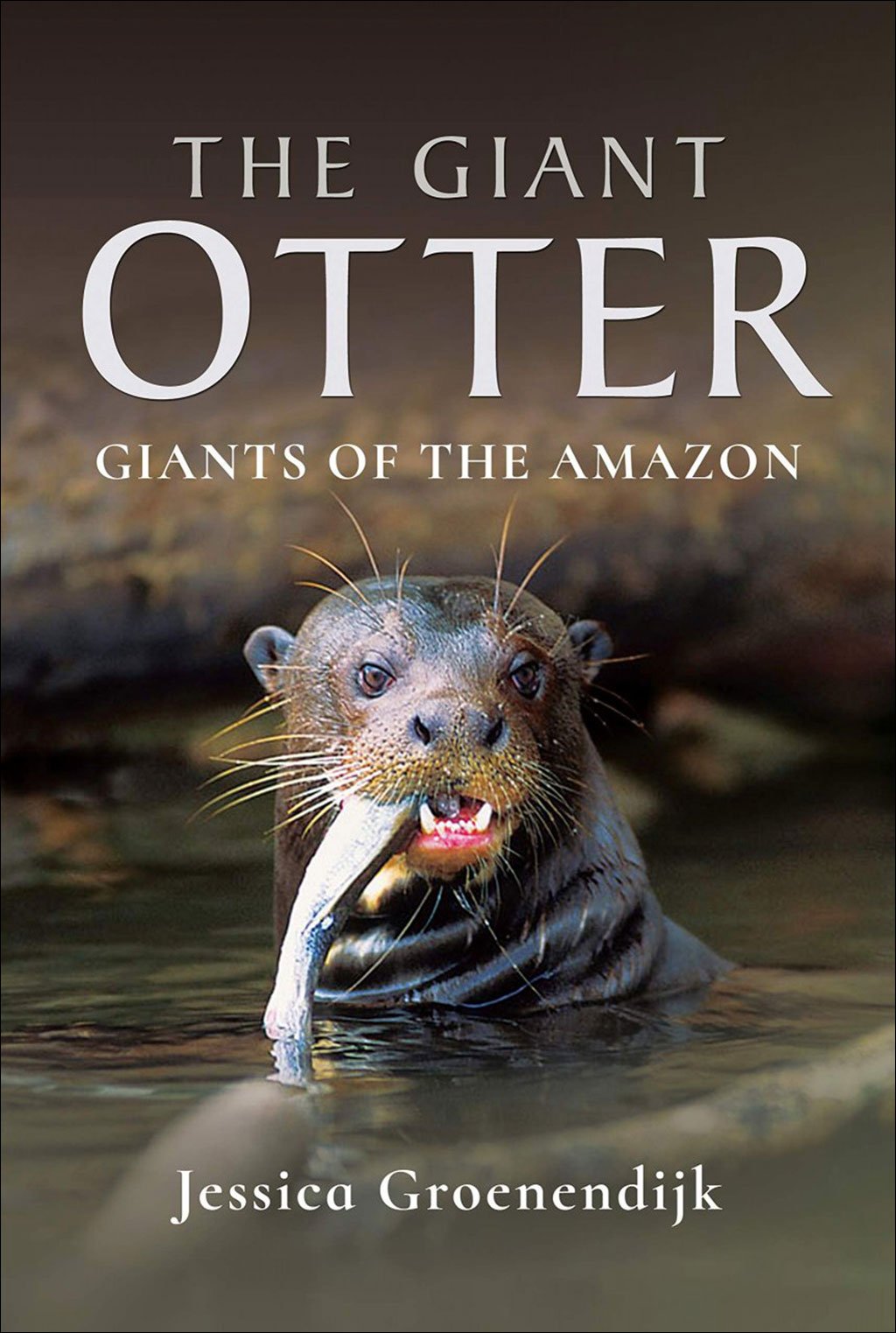 the giant otter. giants of the amazon