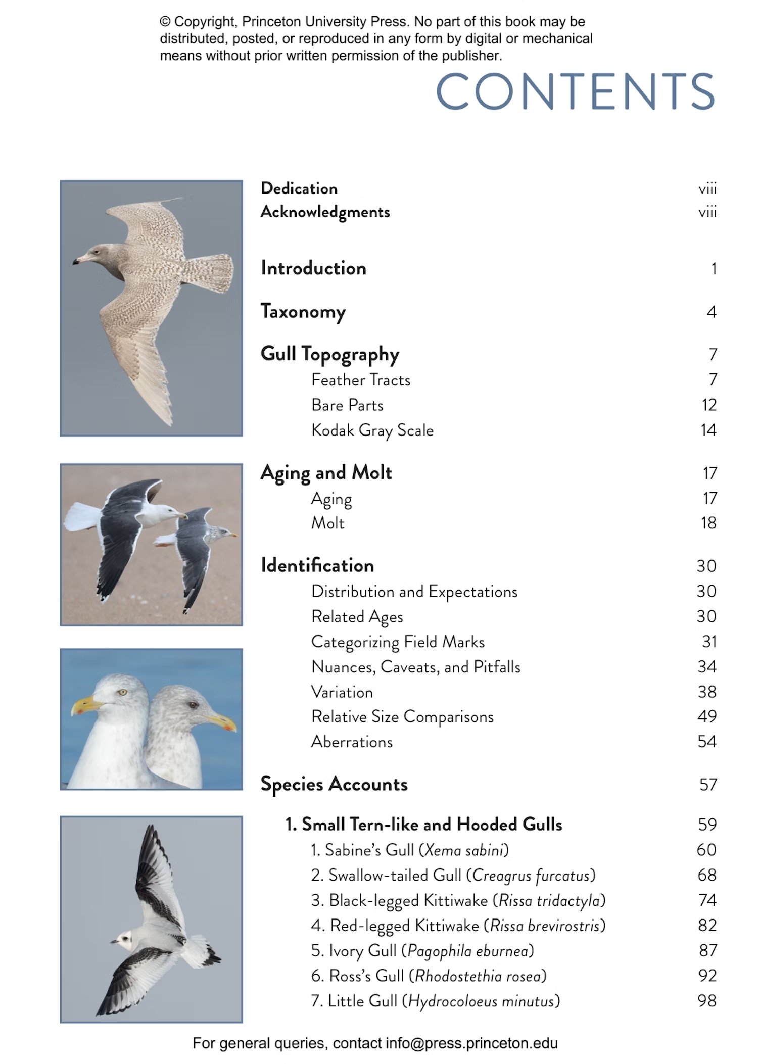 the gull guide north america