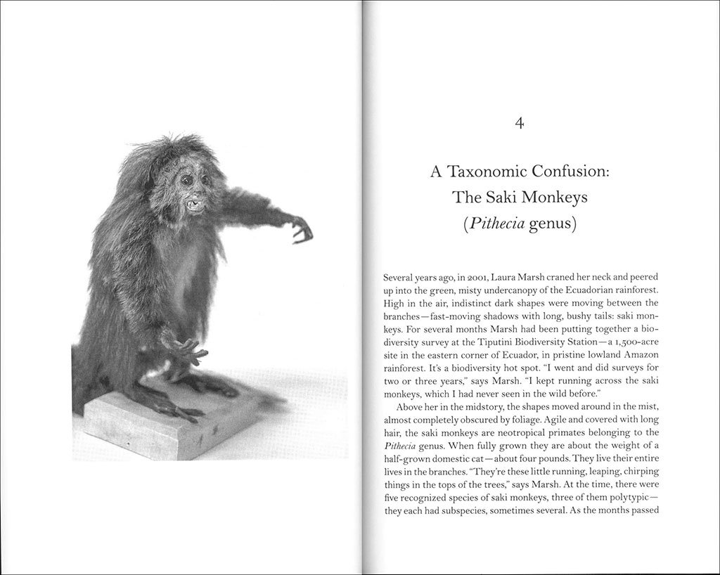 the lost species. great expeditions in the collections of natural history museums