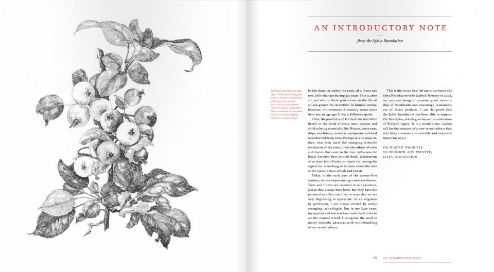 the new sylva. a discourse of forest and orchard trees for the twenty-first century