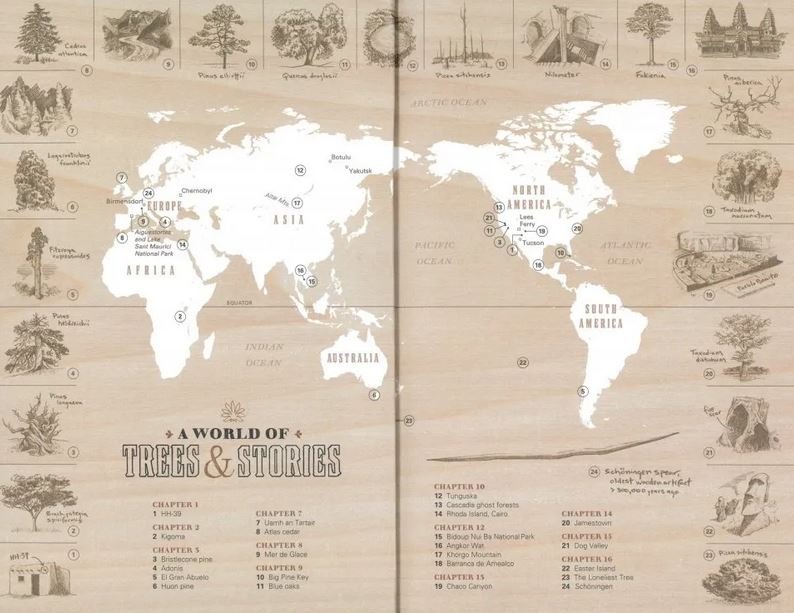 tree story. the history of the world written in rings