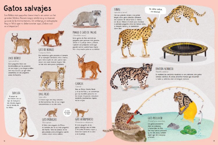 un libro de gatos
