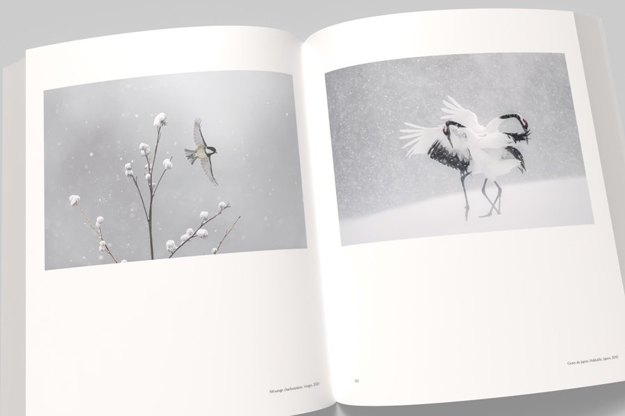 vincent munier, the monograph