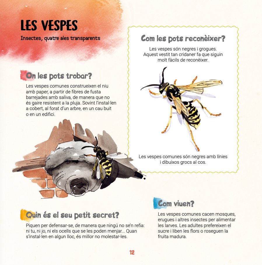 descobreixo les bestioles i aprenc a reconxer-les