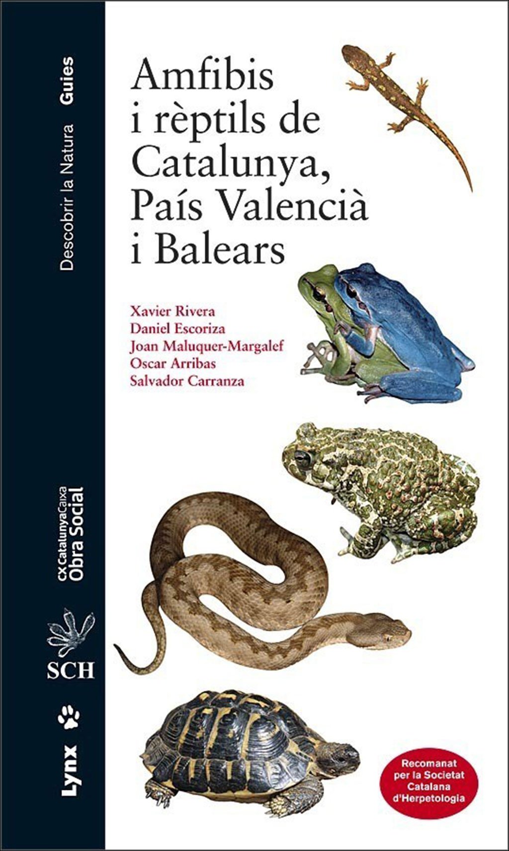 amfibis i rptils de catalunya, pas valenci i balears