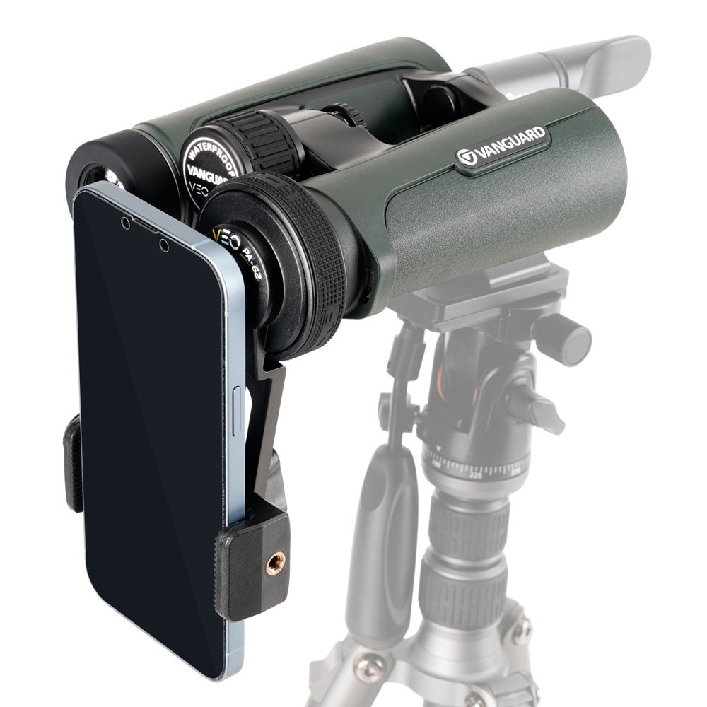 kit vanguard de prismtico veo hd iv 8x42 y accesorios